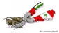 کاریکاتور دکتر علاء اللقطه هنرمند فلسطینی