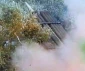 حزب الله يستهدف قواعد 