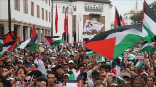 تظاهرات در  ۴۸ شهر مغرب در حمایت از غزه