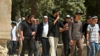 گزارش الازهر درباره یورش‌های صهیونیست‌ها به مسجد الاقصی در ۲۰۲۴