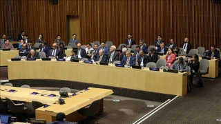 Group of UN envoys reject US plans to ‘displace’ Palestinians in Gaza