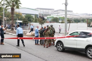 Palestinian man martyred following car ramming incident against Zionists