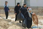 فاجعه‌ای جدید در شمال کرانه باختری؛ هزاران فلسطینی از اردوگاه نور شمس آواره شدند 2