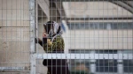 بينهن طفلة:(21) أسيرة يتعرضن لجرائم منظمة في سجون الاحتلال 2