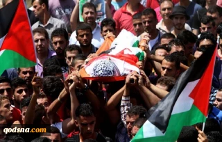 شهادت سه فلسطینی در جنین