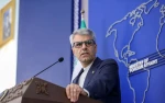بقائی: آمریکا مسئول مستقیم جنایات رژیم صهیونیستی در غزه است 2
