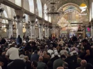 تصاویری از احیای شب قدر در مسجد مبارک الاقصی...
 3