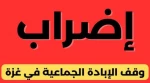 الحملة العالمية لوقف الإبادة تدعو لإضراب عالمي لوقف الحرب على غزة 2