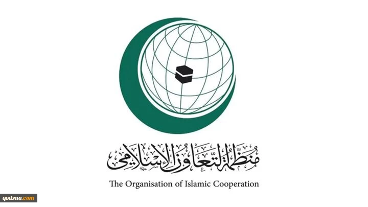 درخواست سازمان همکاری اسلامی برای تحقیق درمورد جنایت اسرائیل علیه امدادگران غزه 2