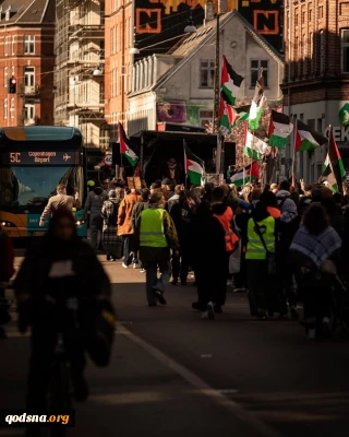 مسيرات تعم بلدان العالم دعما للشعب الفلسطيني