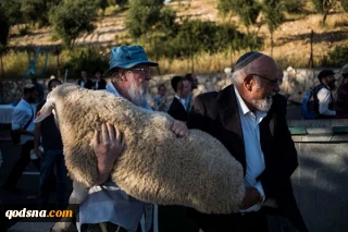 کارشناس امور قدس:

ذبح قربانی گامی خطرناک از سوی صهیونیستها علیه مسجدالاقصی است
