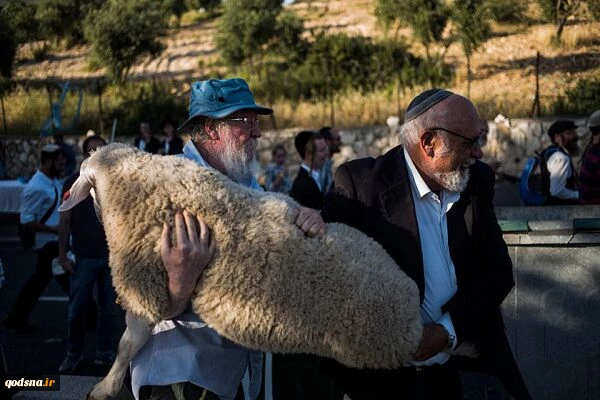 کارشناس امور قدس:
ذبح قربانی گامی خطرناک از سوی صهیونیستها علیه مسجدالاقصی است 2