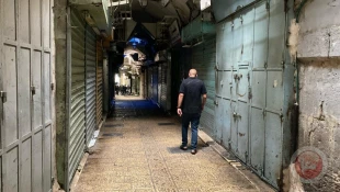 مدينة القدس تستجيب لنداء القوى الوطنية والإسلامية.. 

مقدسيون: رسالتنا من الإضراب وقف الحرب ورفع الحصار  3