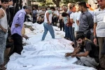 شهادت ۲۱ فلسطینی دیگر در غزه/ شمار شهدا به ۵۰ هزار و ۹۳۳ نفر رسید 2