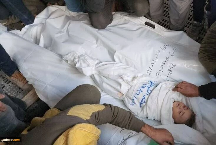 ۱۶ شهید در غزه از صبح امروز تاکنون  2