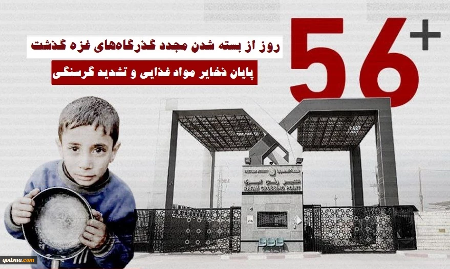 اینفوگرافی اختصاصی/ 

56 روز از محاصره کامل و بسته شدن گذرگاه‌ها گذشت؛ اهالی غزه در آستانه مرگ دسته جمعی 3