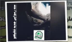 اینفوگرافی اختصاصی/

سند رسوایی جدید نتانیاهو؛ قتل اسرای صهیونیست برای حفظ کابینه ائتلافی 2