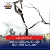 روزنامه مصری الاهرام مطرح کرد؛ 

ناتوانی‌های آشکار رژیم صهیونیستی از جبهه غزه تا یمن؛ سراب پروژه توسعه طلبی 2