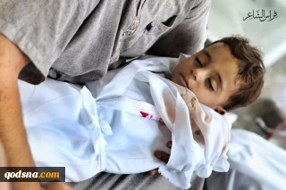رئیس بیمارستان‌های صحرایی نوار غزه: هر ۴۰ دقیقه یک کودک فلسطینی به شهادت رسیده است