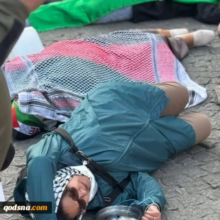 جمعی از فعالان حامی فلسطین در پاریس با برگزاری تجمعی اعتراضی، همبستگی خود را با مردم مظلوم غزه ابراز کردند.