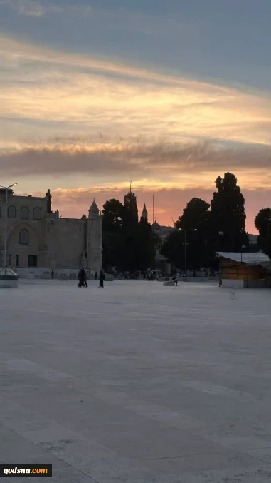 تصاویری از صبح زیبای مسجد الاقصی