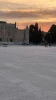 تصاویری از صبح زیبای مسجد الاقصی 3