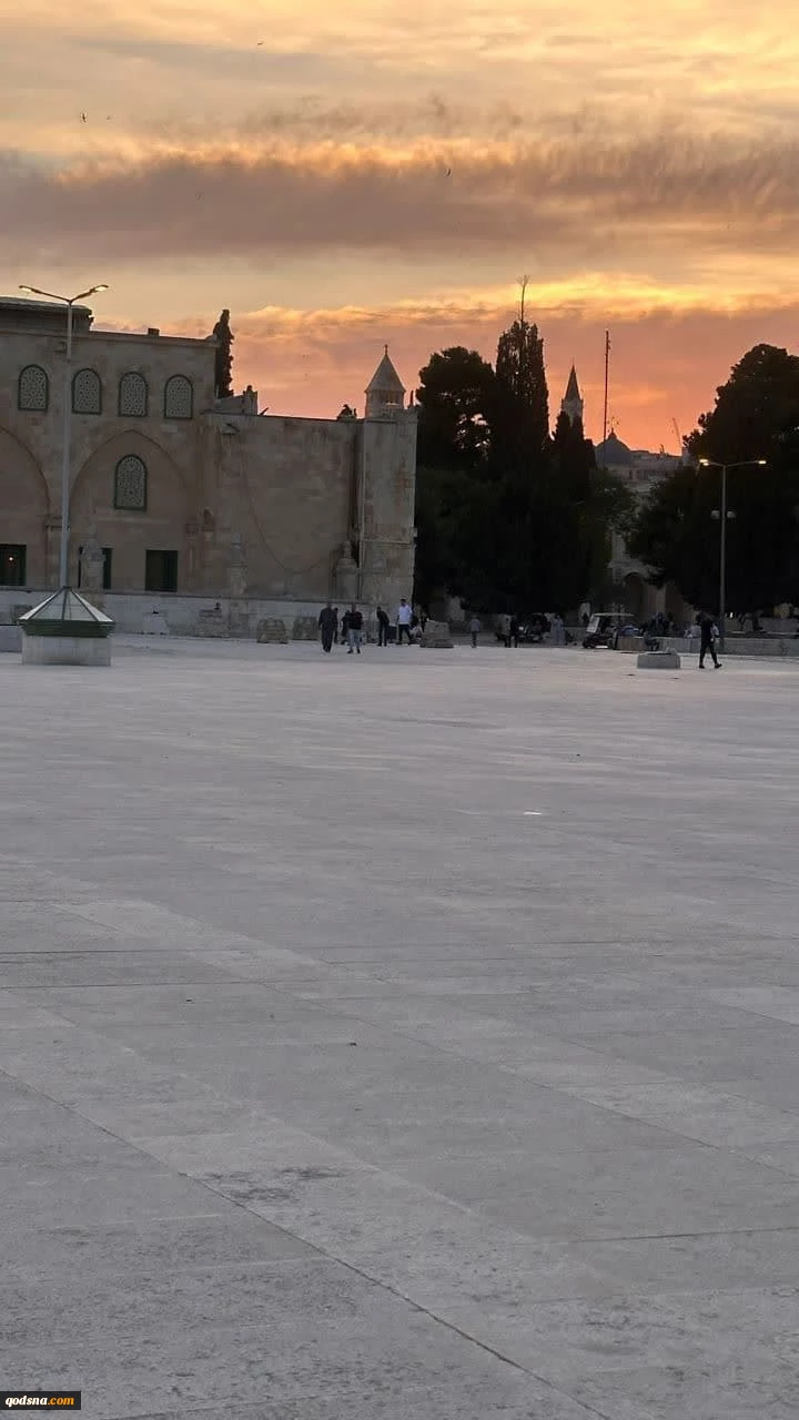تصاویری از صبح زیبای مسجد الاقصی 3