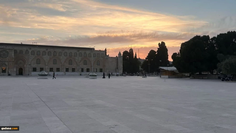 تصاویری از صبح زیبای مسجد الاقصی 4