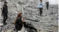 شهادت 250 فلسطینی طی دو روز/  جنایات هولناک صهیونیستها در نوار غزه ادامه دارد