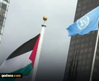 پرچم فلسطین در سازمان جهانی بهداشت