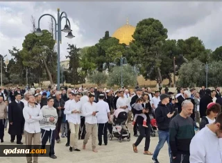 یورش ده‌ها شهرک‌نشین صهیونیست به مسجد الاقصی