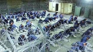 سدیه تیمان؛ روایتی تکان‌ دهنده از شکنجه، تحقیر و شهادت تدریجی و آهسته اسرای فلسطینی