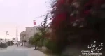 30 ثانیه بهاری در رفح  جنوب نوارغزه