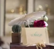 Eid ul-Firt marked in Palestine 2