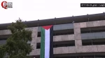 بزرگترین پرچم فلسطین در اروپا در شهر لاهه به اهتزاز درآمد