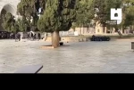 مقاومت قهرمانانه فلسطینی ها در دفاع از مسجد الاقصی