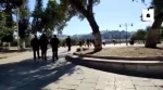 مستوطنون يقتحمون المسجد الأقصى المبارك