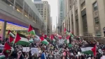 همبستگی جهانی با فلسطین |  راهپیمایی گسترده کانادایی‌ها در حمایت از فلسطین