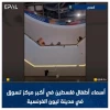 همبستگی جهانی با فلسطین/ توزیع اسامی کودکان شهید فلسطینی در بزرگترین مرکز خرید شهر لیون فرانسه