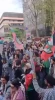 ایتالیایی ها: «غزه، غزه، نماد غرور»

 تظاهرات گسترده در ایتالیا در حمایت از غزه و محکومیت نسل کشی آمریکا و رژیم صهیونیستی. معترضان شعار «غزه، غزه نماد غرور» سر دادند.