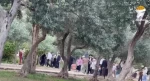 شماری از شهرک نشینان صهیونیست امروز دوشنبه با حمایت نظامیان صهیونیست به مسجدالاقصی تعرض کردند