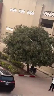 دانشجویان سنگالی سفیر رژیم اسرائیل را از دانشگاه بیرون کردند + فیلم 2